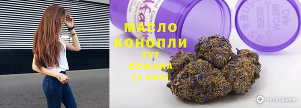 гашик Богородск