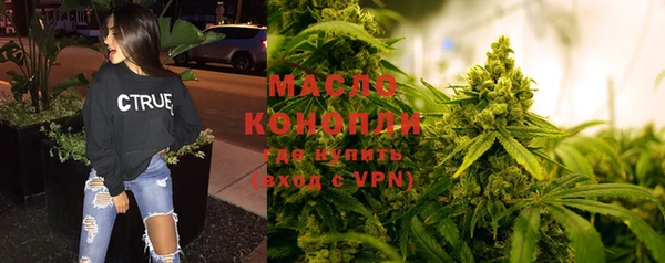 гашик Богородск