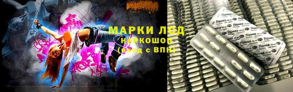 мяу мяу мука Богданович